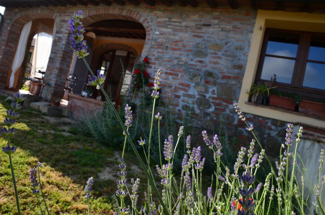 Apartamento Casa Magnolia Terricciola Exterior foto