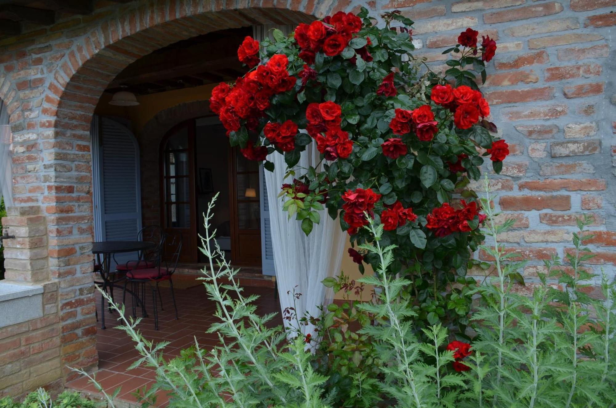 Apartamento Casa Magnolia Terricciola Exterior foto